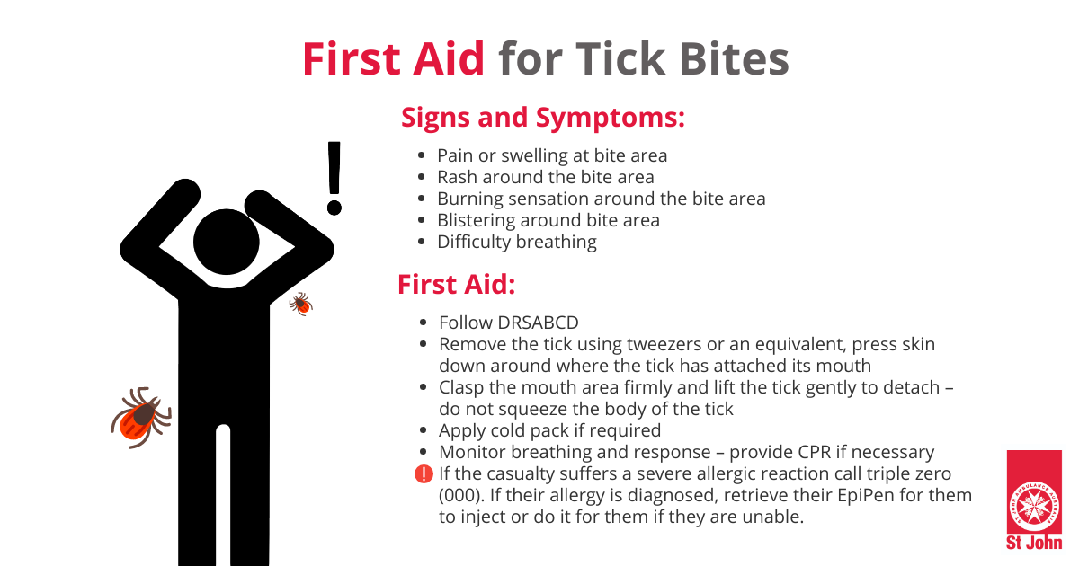 How To Provide First Aid For Bites And Stings | St John Vic